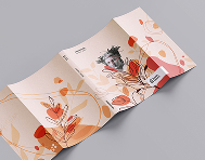 Dust Jackets (for hardcover and softcover books)